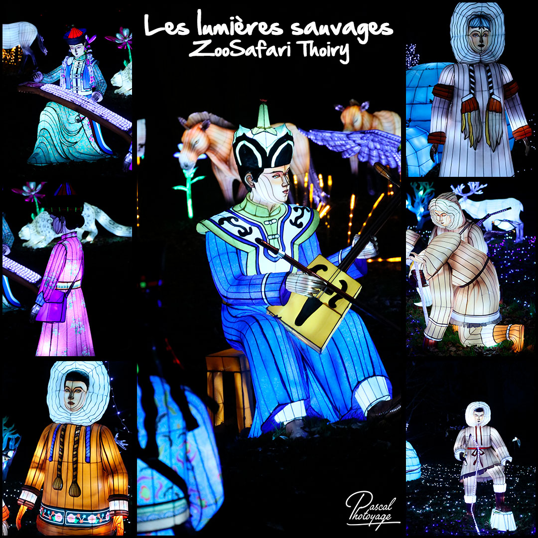 86091139_les_lumieres_sauvages_-_zoosafari_thoiry_-_layout_33_1080x1080.jpg