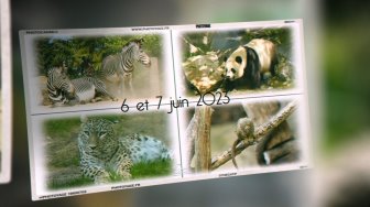 ZooParc de Beauval visites des 06 et 07 juin 2023