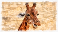 girafe_-_021_dap_fine_art_aquarell