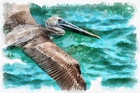 pelican_-_32_dap_fine_art_aquarell