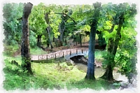 jardin_botanique_-_101_dap_fine_art_aquarell