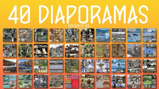 Diaporama de 40 photomontages (édition n° 03)