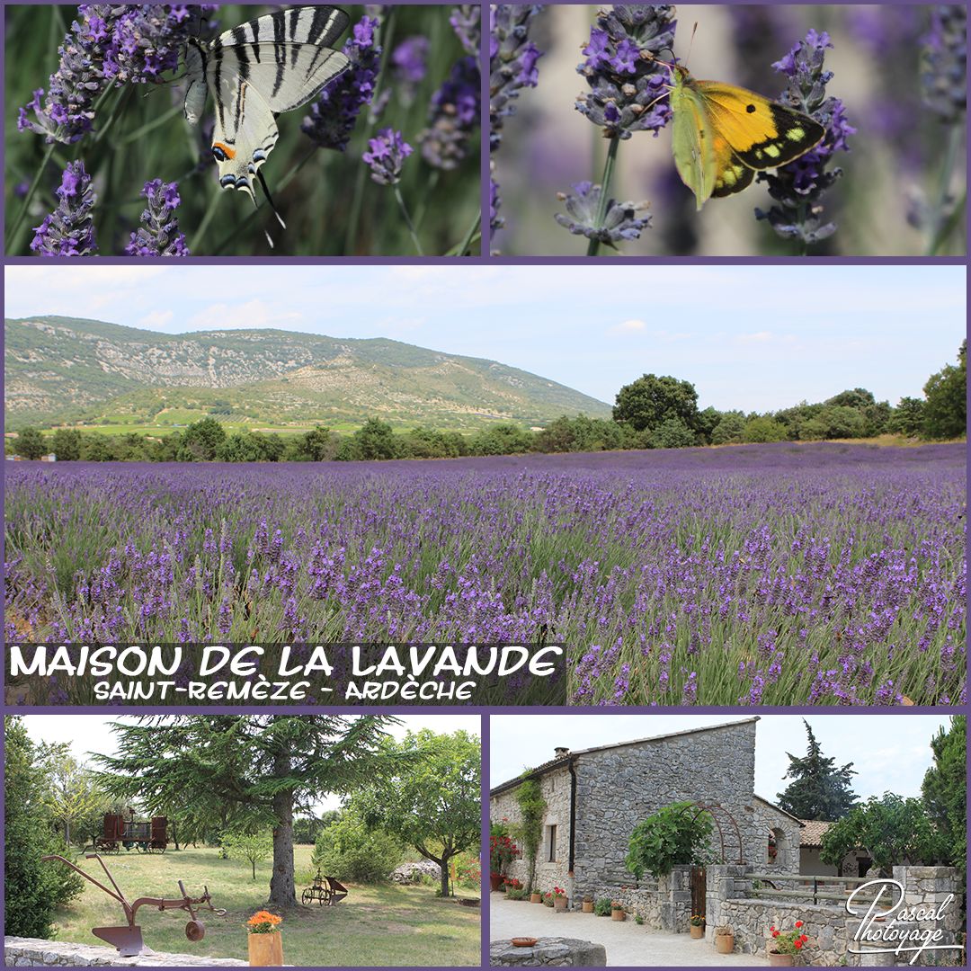 08195144_maison_de_la_lavande_01_-_layout_15.jpg