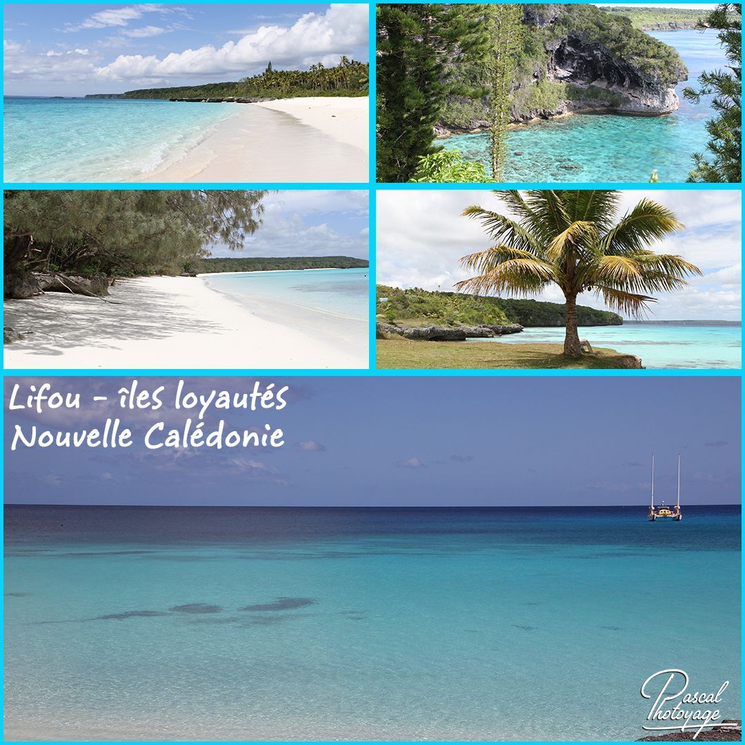 11538893_lifou_01_-_layout_55.jpg