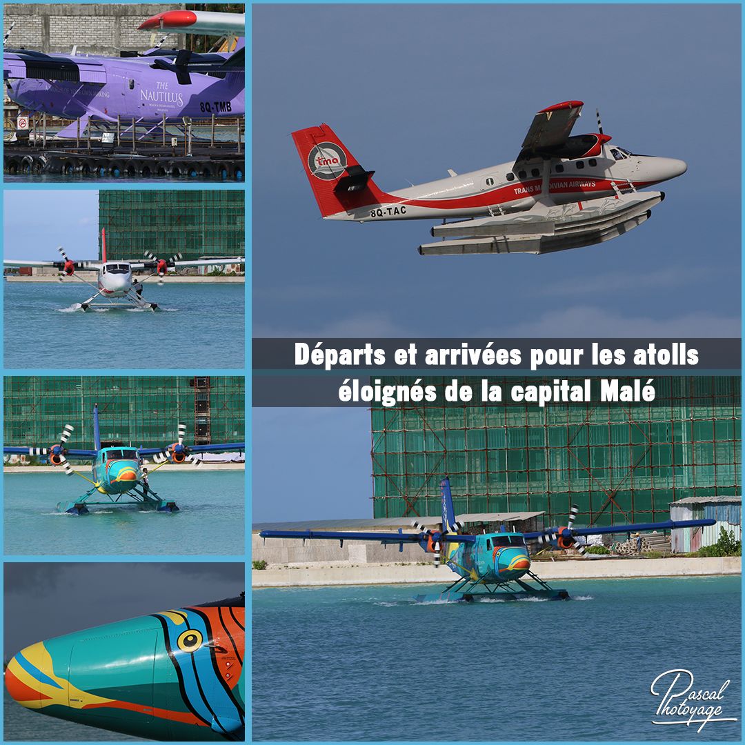 15562425_maldives_-_hydravion_01_-_layout_65.jpg