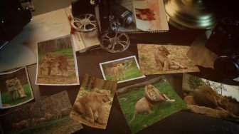 BEAUVAL - La terre des lions en photos argentiques 