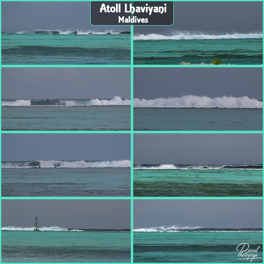24202711_maldives_02_-_layout_53.jpg