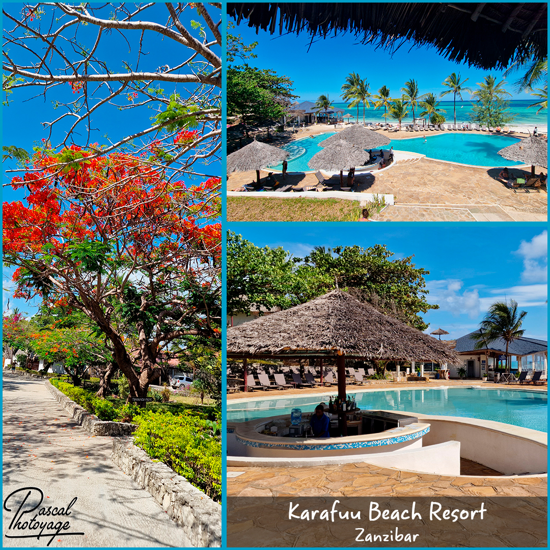 25978471_karafuu_beach_resort_01_-_layout_02.jpg