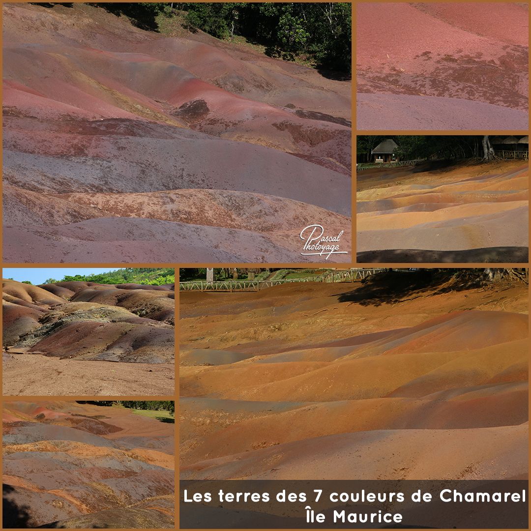 29219897_les_sept_couleurs_01_-_layout_27.jpg