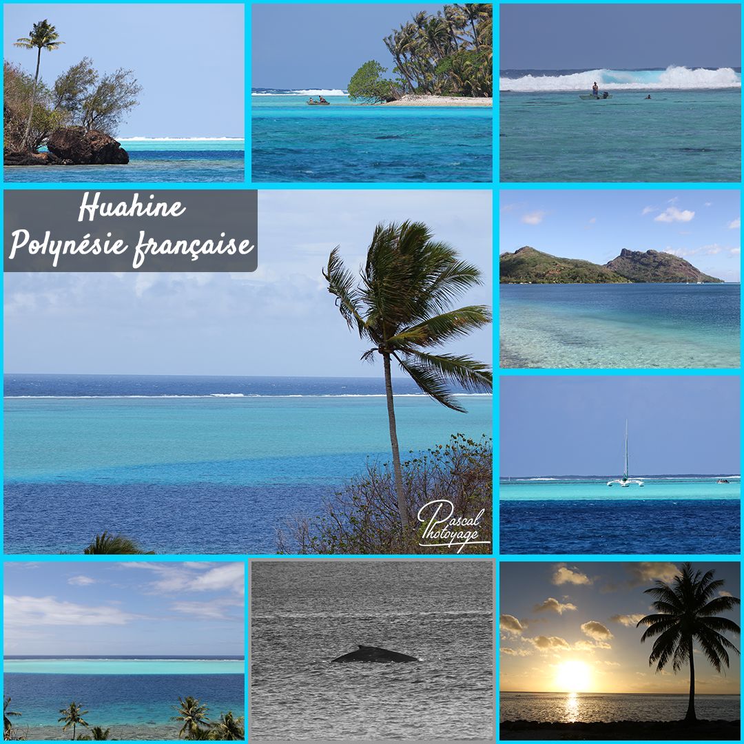 42458855_polynesie_francaise_-_huahine_01_-_layout_46.jpg