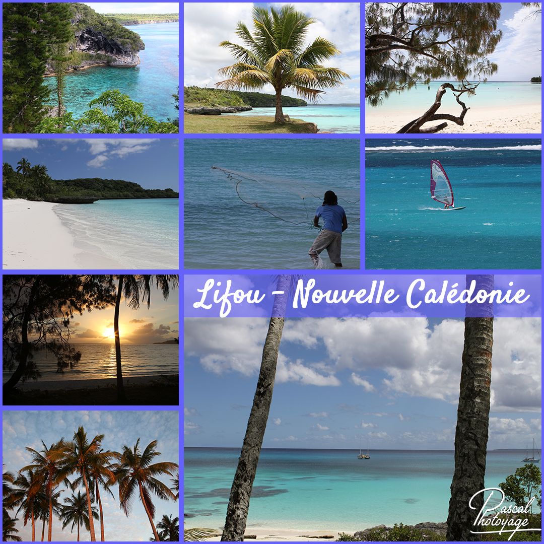 42752138_lifou_01_-_layout_45.jpg