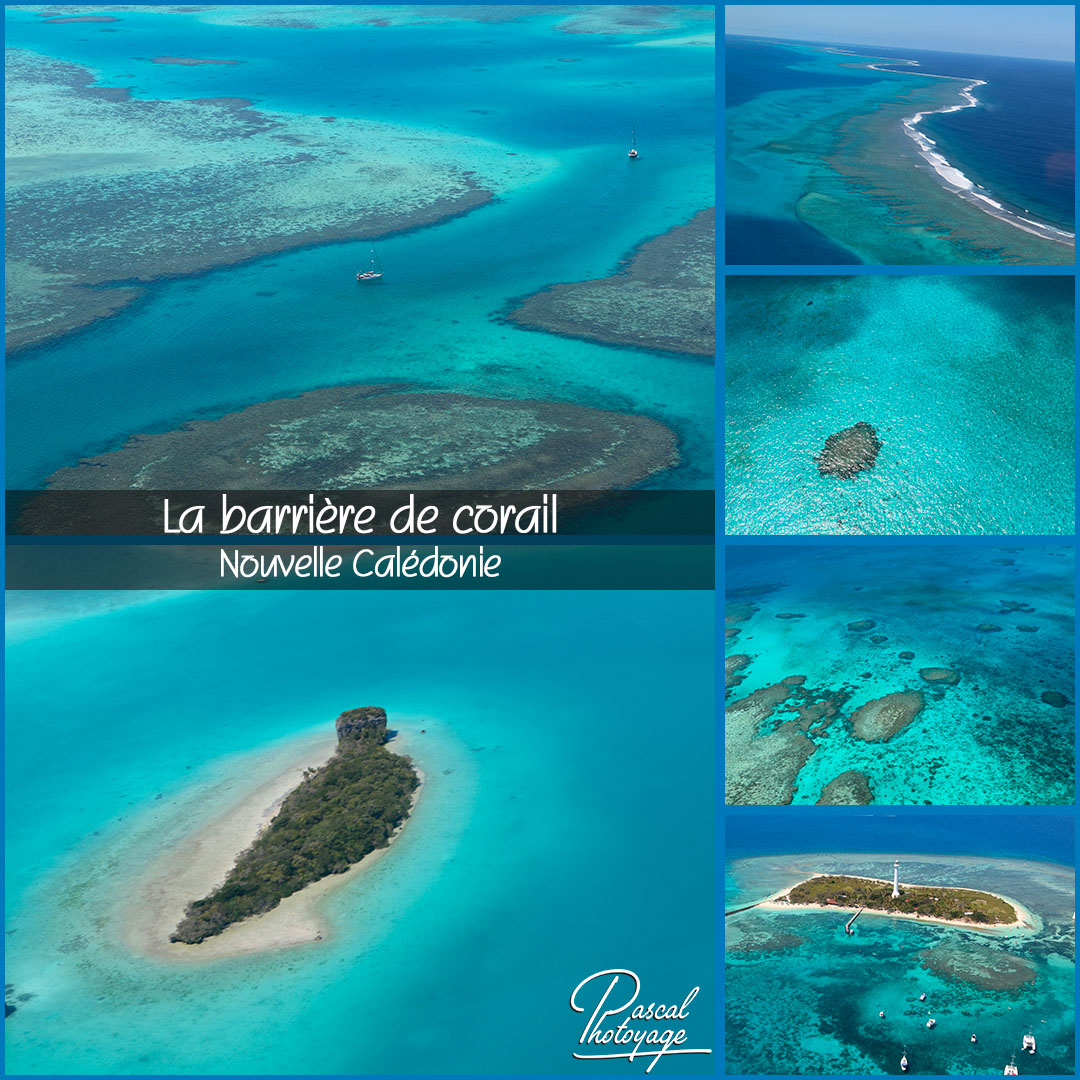 43395130_barriere_de_corail_-_nc_02_-_layout_64_1080x1080.jpg