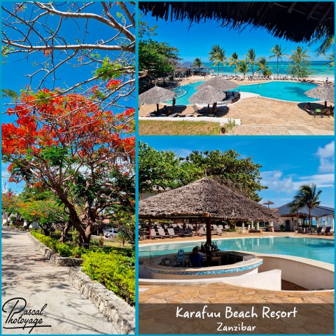 44888446_karafuu_beach_resort_01_-_layout_02.jpg