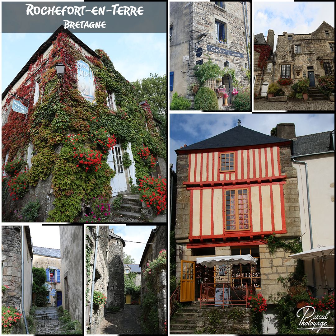46682166_rochefort-en-terre_01_-_layout_26.jpg