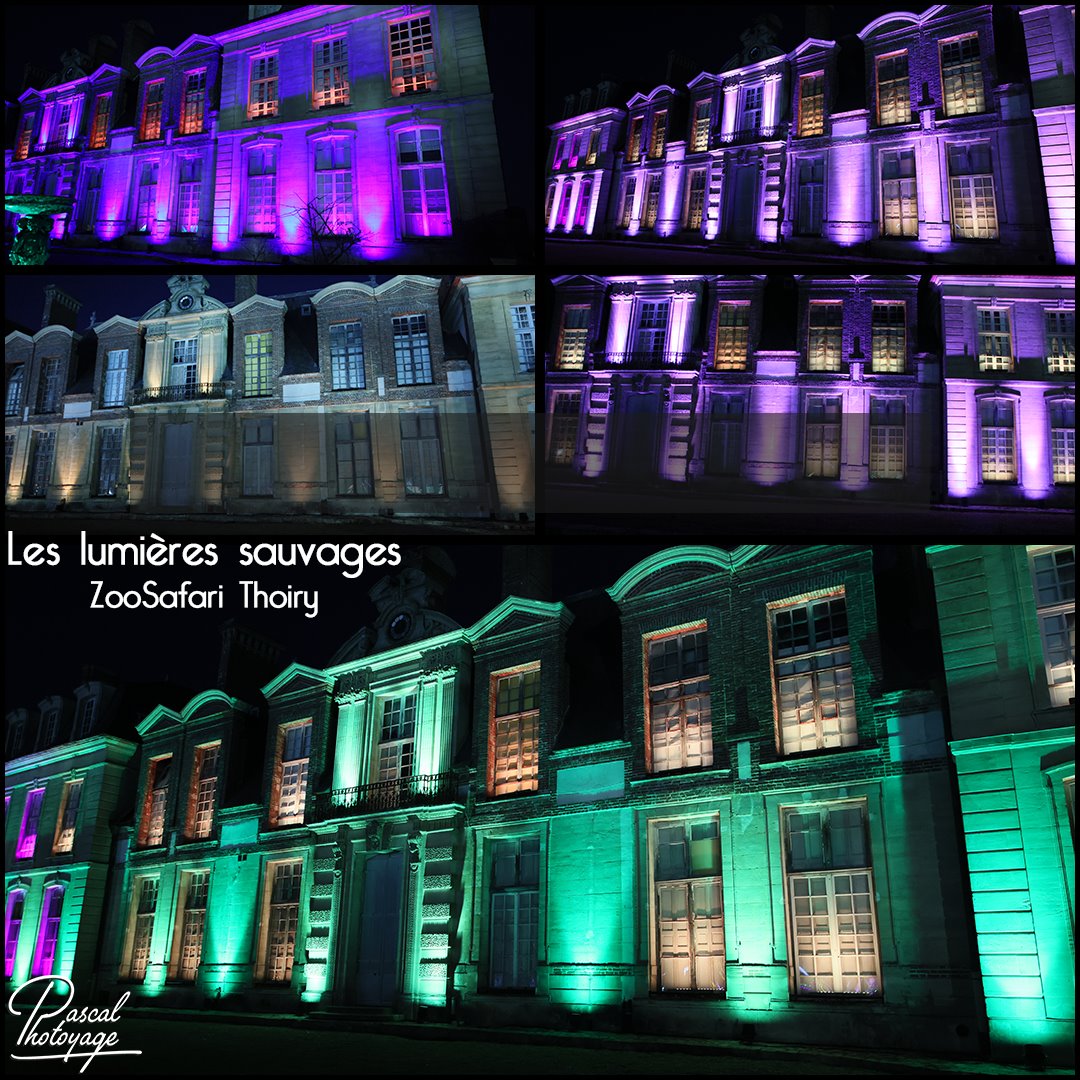 47552378_les_lumieres_sauvages_-_zoosafari_thoiry_-_layout_55.jpg
