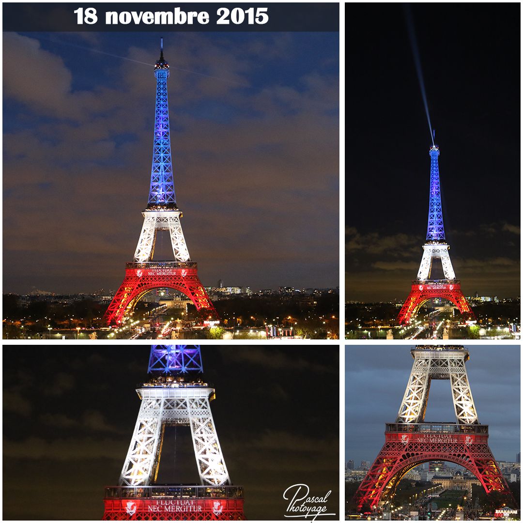 51151329_tour_eiffel_01_-_layout_04.jpg