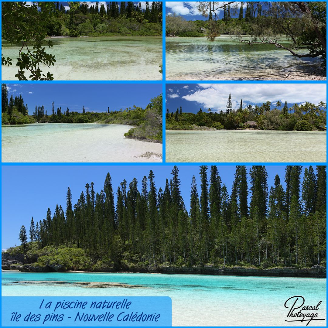 56751156_piscine_naturelle_01_-_layout_55.jpg