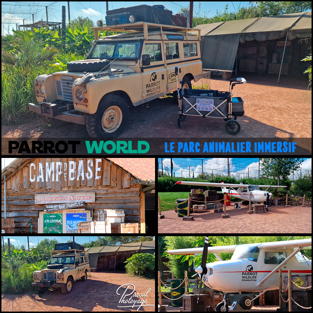56804223_parrot_world_01_-_layout_56.jpg