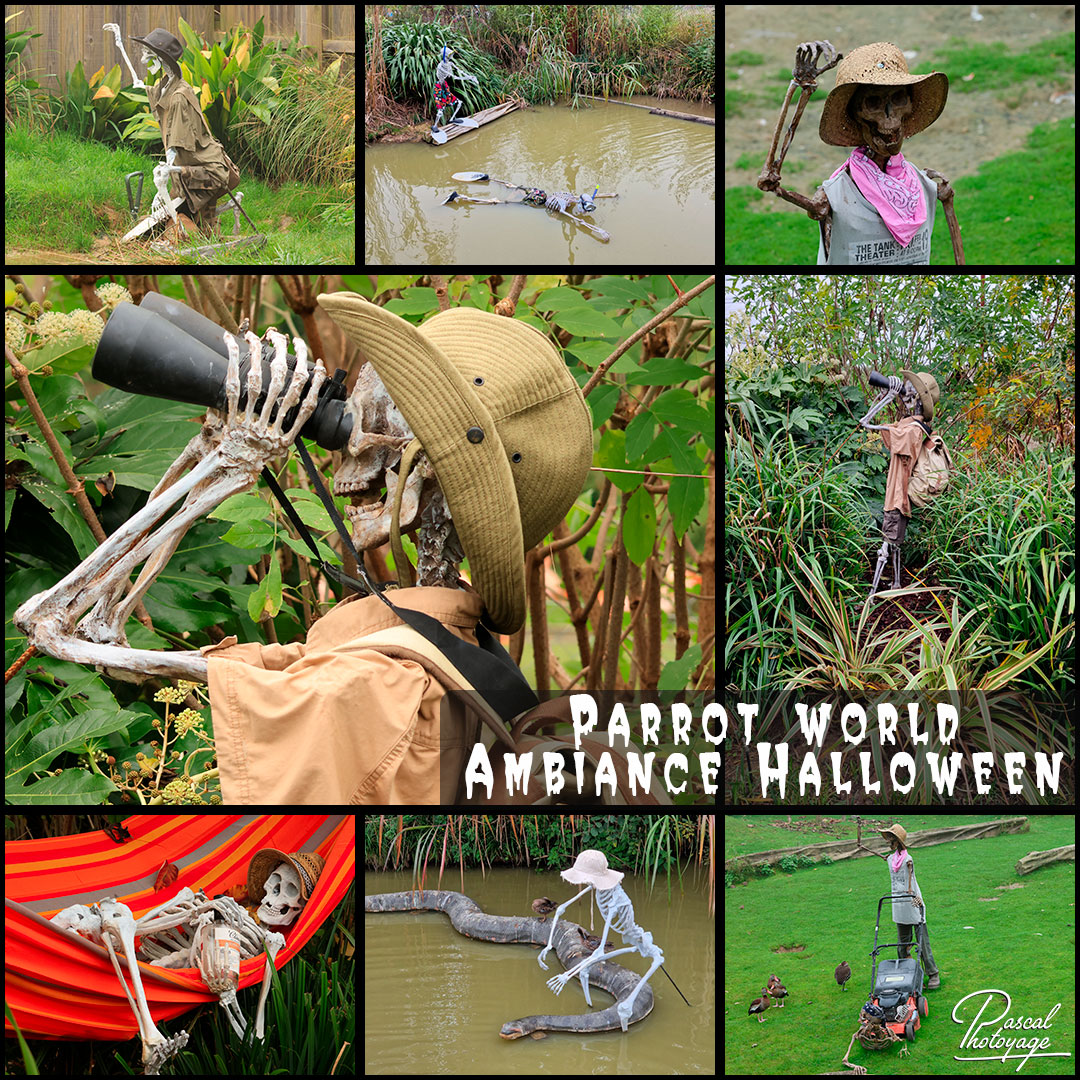 62012709_parrot_world_01_-_layout_36.jpg
