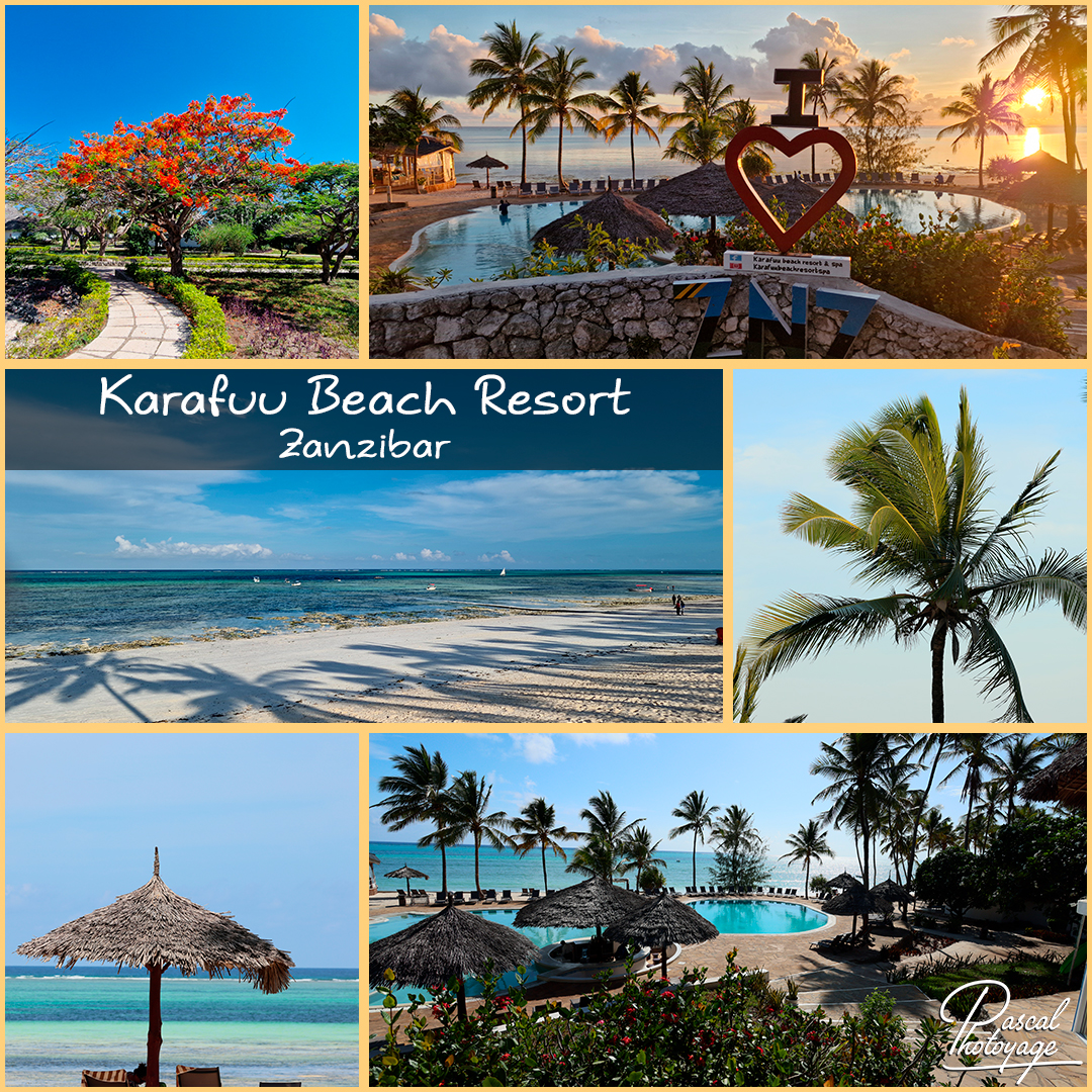82625110_karafuu_beach_resort_01_-_layout_29.jpg