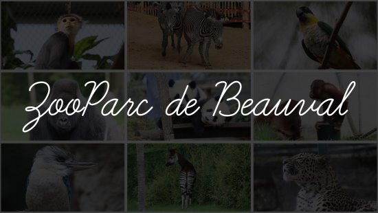 Le ZooParc de Beauval