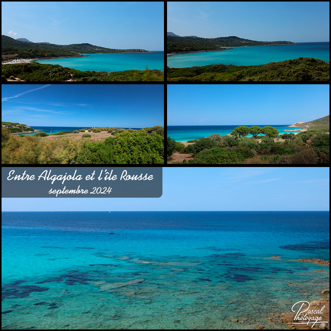 algajola_ile_rouuse_01_-_layout_55.jpg