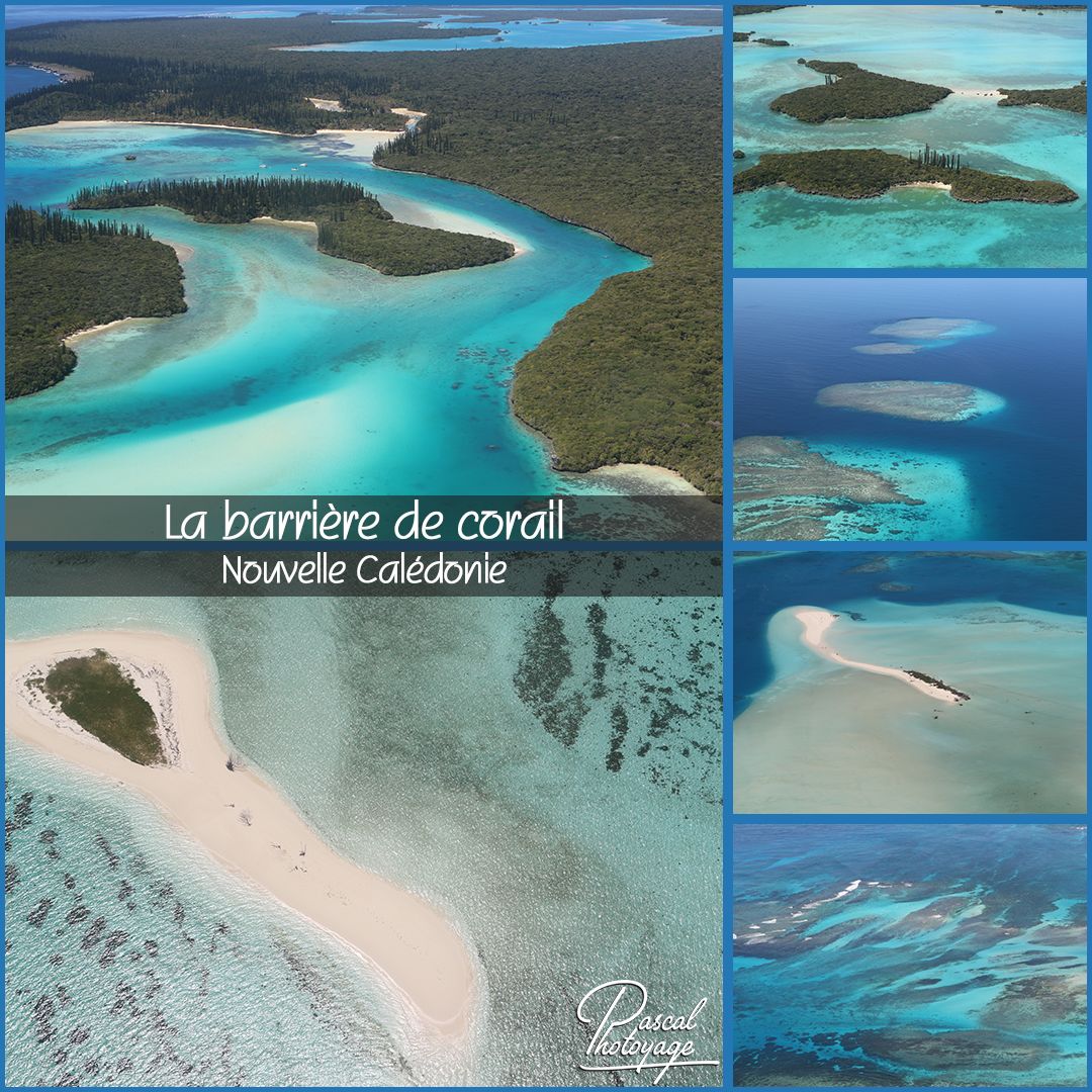barriere_de_corail_-_nc_01_-_layout_64.jpg