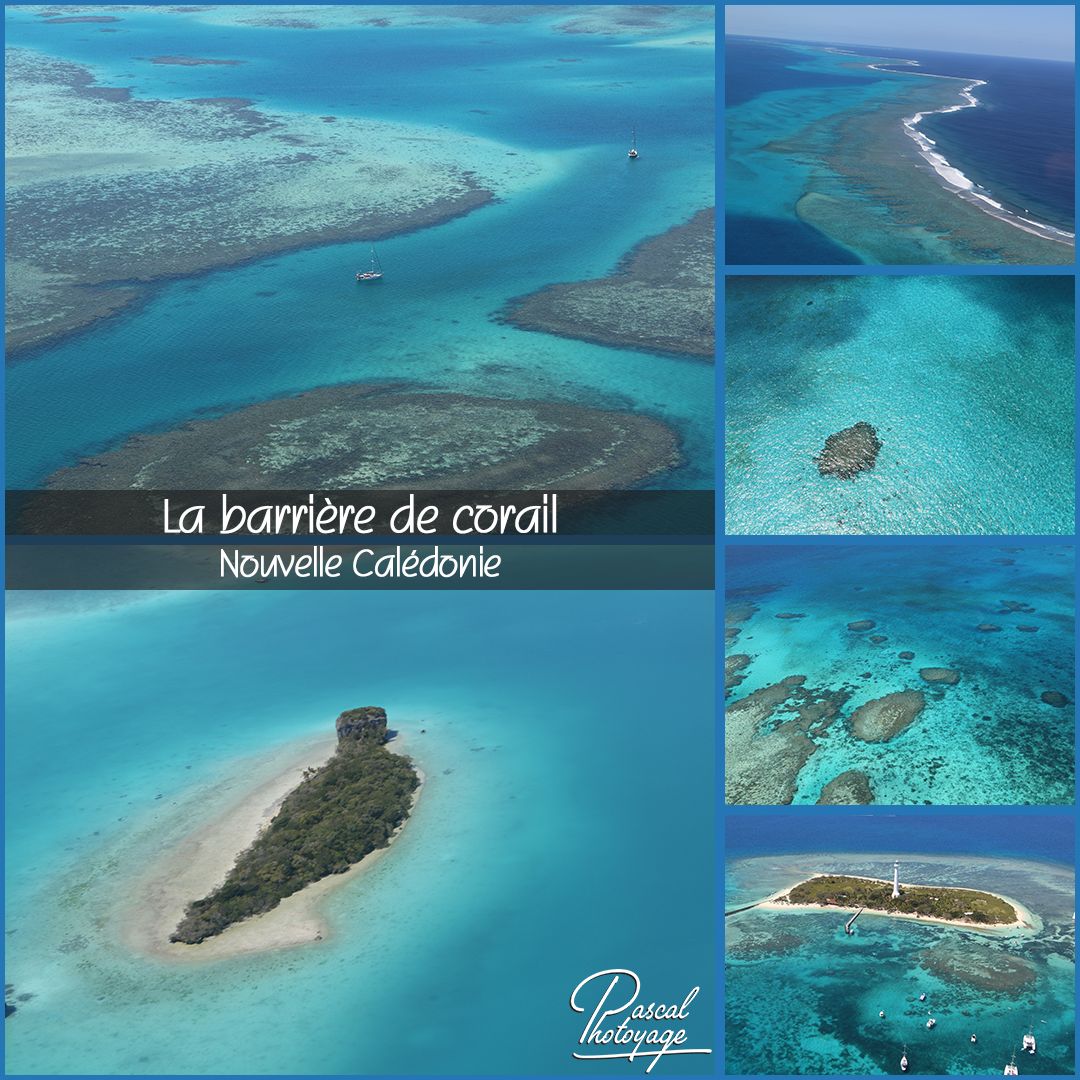 barriere_de_corail_-_nc_02_-_layout_64.jpg
