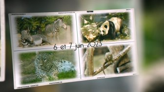 Album d'une centaine de photos prises lors des visites des 6 et 7 juin 2023