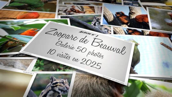 Zooparc de Beauval - Année 2025 - Album 01