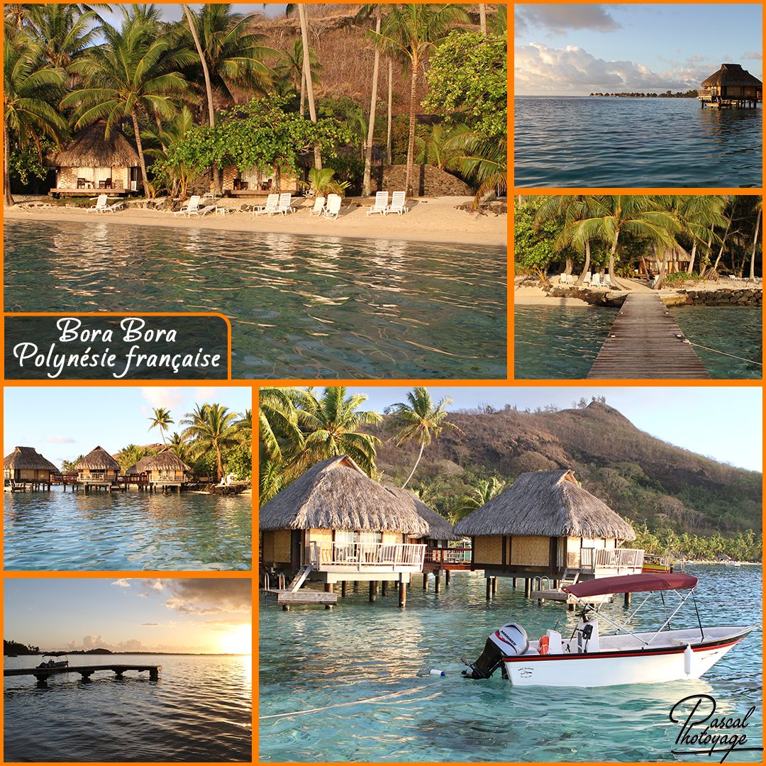 bora_bora_01_-_layout_27.jpg