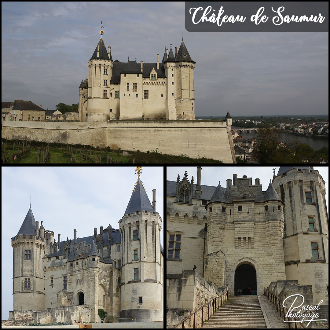 chateau_de_saumur_01_-_layout_58.jpg