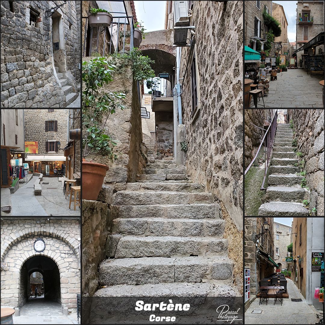 corse_01_-_layout_33.jpg