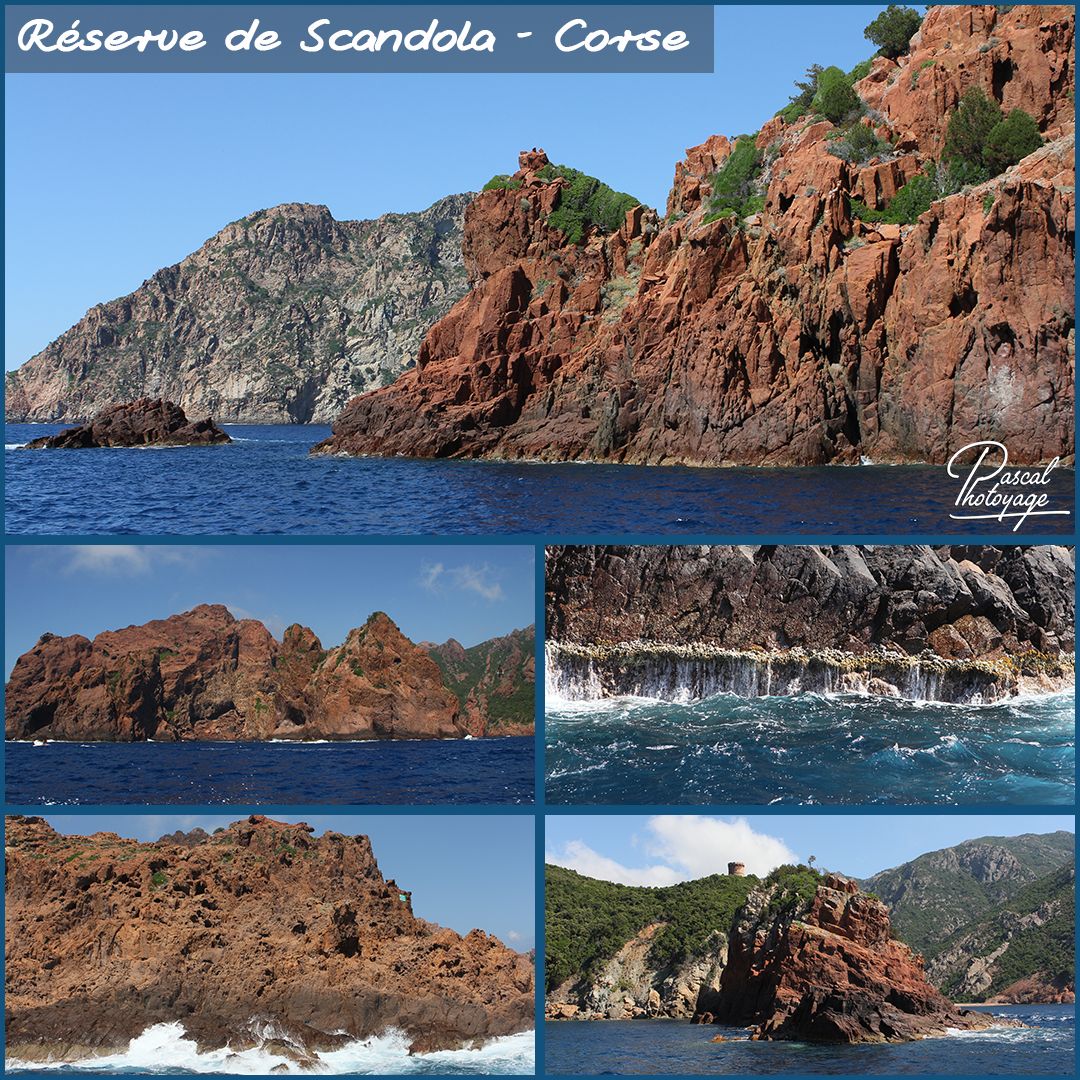 corse_reserve_de_scandola_-_layout_56.jpg