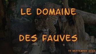 Le domaine des fauves