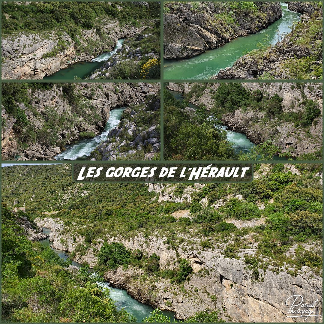 gorges_de_l'herault_01_-_layout_55.jpg