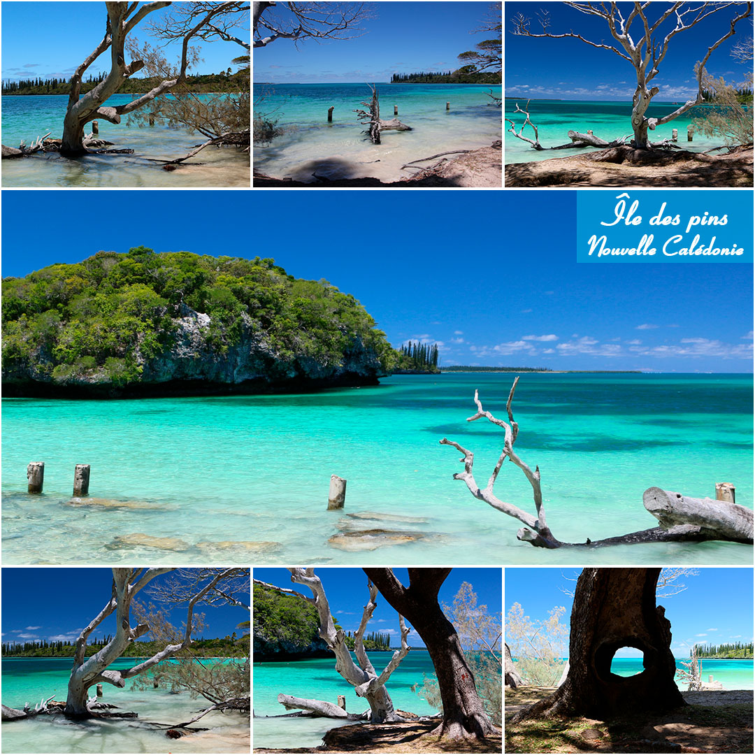 ile_des_pins_-_layout_32.jpg