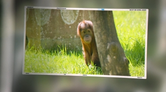 Vidéo comportant une centaine de photos prises lors de la visite du 08 et 09 avril 2023