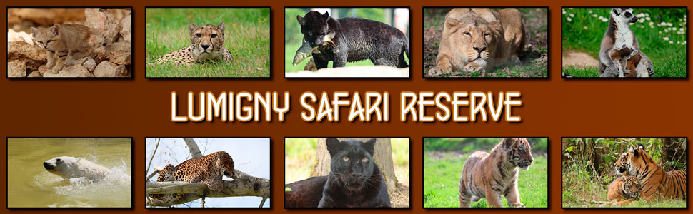 lumigny_safari_reserve_12.jpg