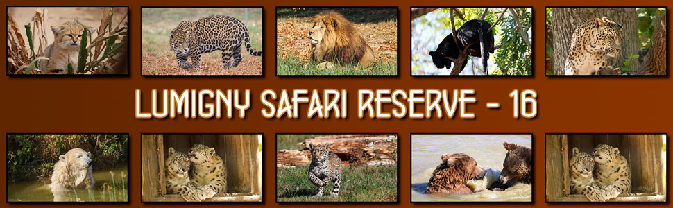 lumigny_safari_reserve_16.jpg