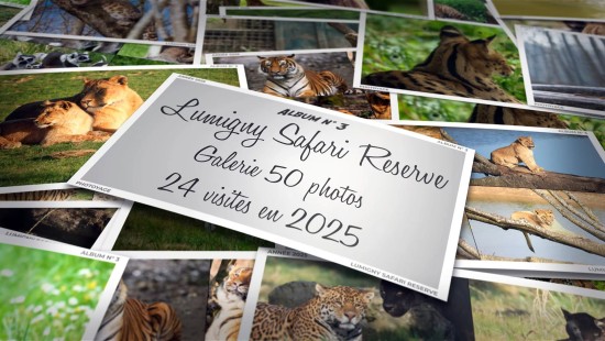 Lumigny Safari Reserve - Année 2025 - Album 03