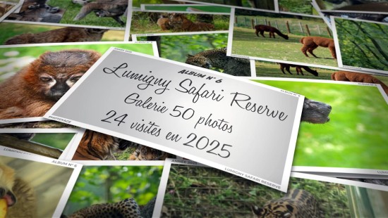 Lumigny Safari Reserve - Année 2025 - Album 06