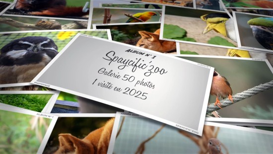 Spaycific'zoo - Année 2025 - Album 01