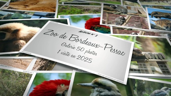 Zoo de Bordeaux-Pessac - Année 2025 - Album 01