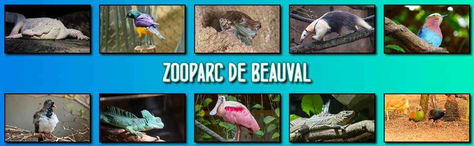 zooparc_de_beauval_12.jpg