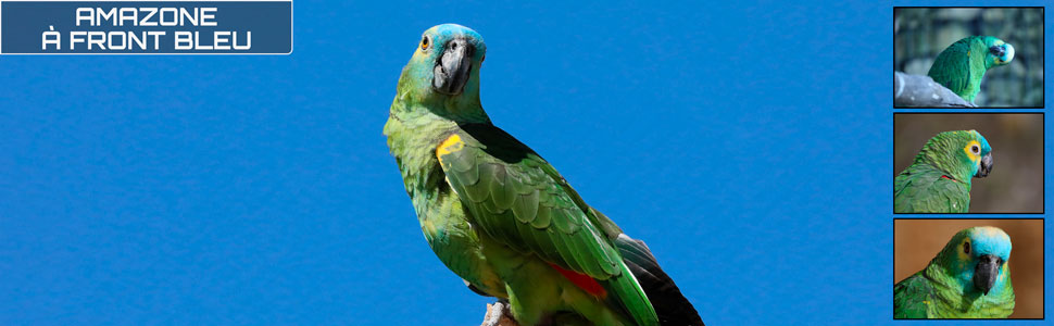 14_des_zoos_des_zanimaux_970x300px.jpg