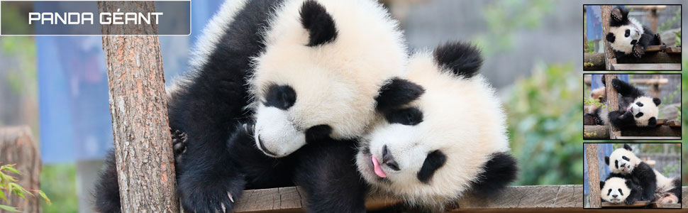 20_des_zoos_des_zanimaux_970x300px.jpg