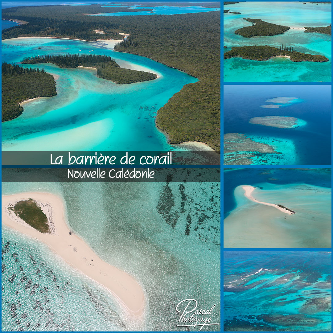 96217354_barriere_de_corail_-_nc_01_-_layout_64_1080x1080.jpg