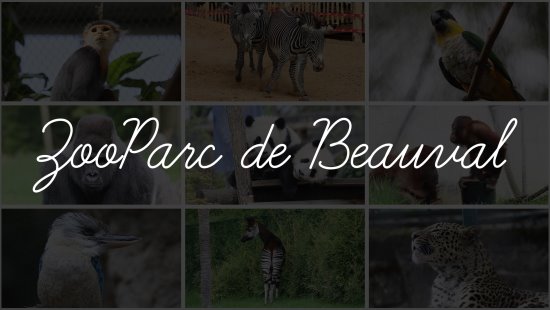 Diaporama de 100 photos de la visite du ZooParc de Beauval les 19 et 20 avril 2022.