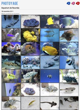 Aquarium de Nouméa - 18 novembe 2011